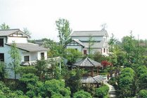 农科村景点天气实景图
