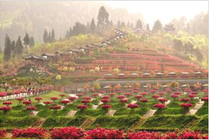 花舞人间景点图片