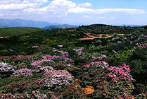 格萨拉生态旅游区景点图片