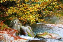 光雾山景点图片