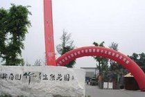 峨眉山竹叶青生态茗园景点图片