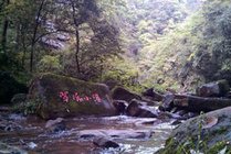 雅安碧峰峡旅游区景点图片