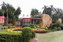 华南植物园景点图片