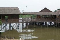 海上田园景点图片