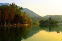仙湖植物园景点图片