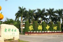 农科奇观景点图片