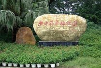 广西药用植物园景点图片