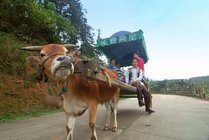 天马山生态旅游景区景点图片