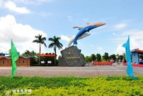 三娘湾国际海豚公园景点图片