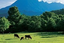 五指山热带雨林风景区景点天气实景图