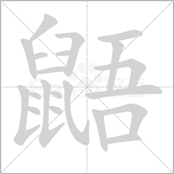 鼯字笔顺图