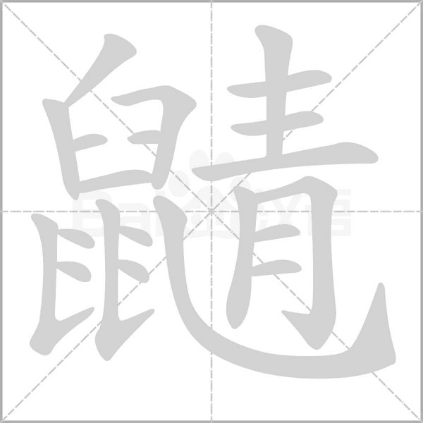 鼱字笔顺图