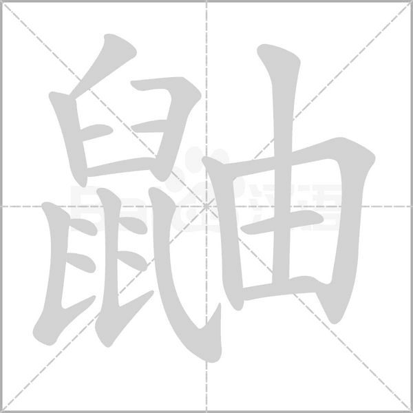 鼬字笔顺图