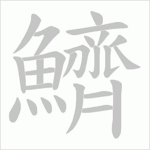 鱭字笔顺图