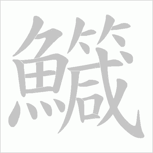 鱵字笔顺图
