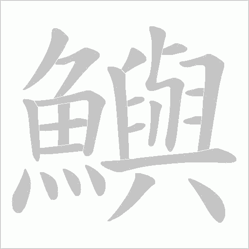鱮字笔顺图