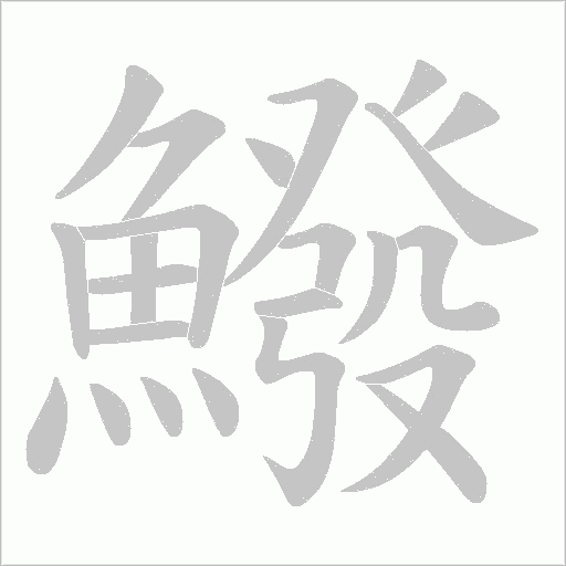 鱍字笔顺图