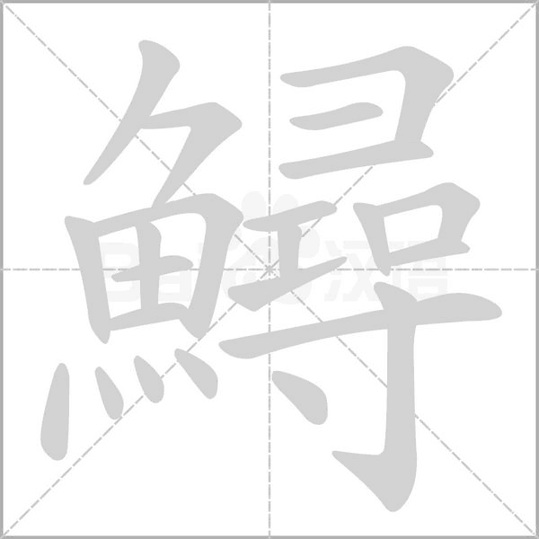 鱘字笔顺图