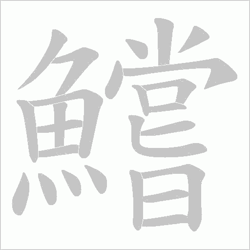 鱨字笔顺图