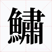 鱐字的字形和写法