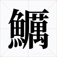 鱱字的字形和写法