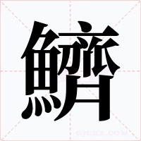 鱭字的字形和写法
