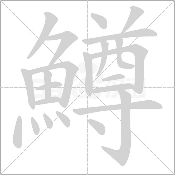 鱒字笔顺图