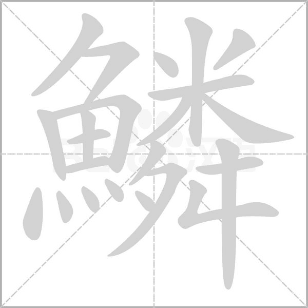 鱗字笔顺图