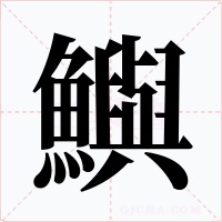 鱮字字形