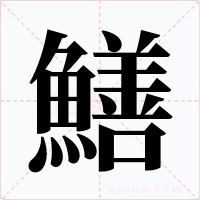 鱔字的字形和写法