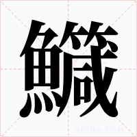 鱵字的字形和写法