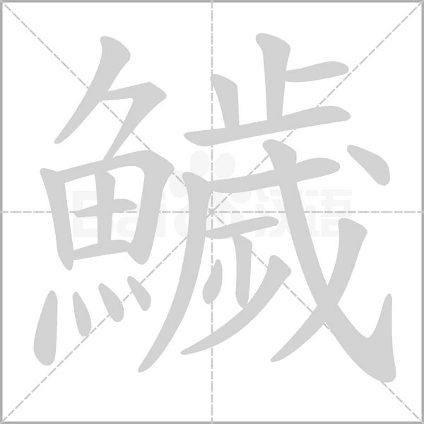 鱥字笔顺图