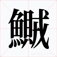 鱡字的字形和写法
