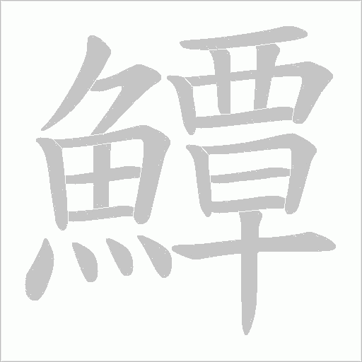 鱏字笔顺图