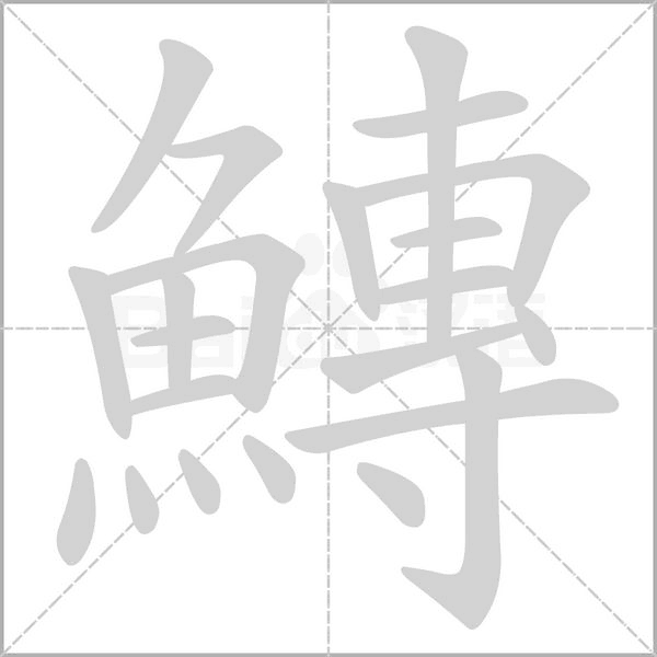 鱄字笔顺图