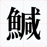 鰔字字形