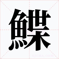 鰈字字形