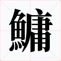 鱅字字形