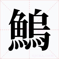鰞字的字形和写法