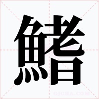 鰭字字形
