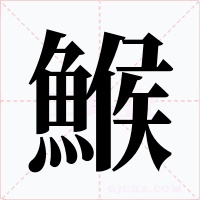 鯸字字形