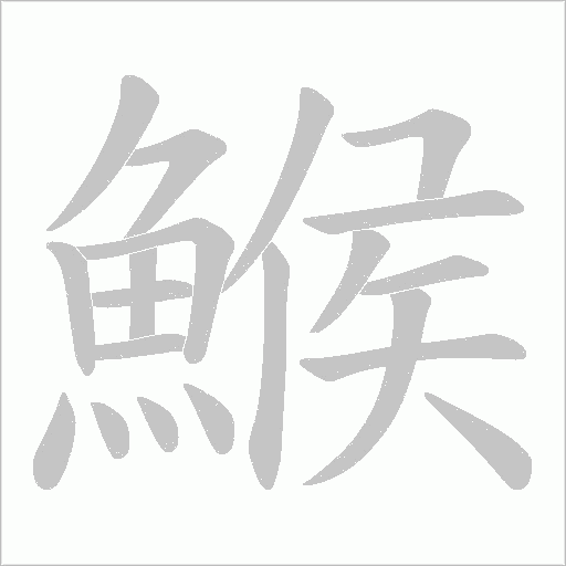 鯸字笔顺图