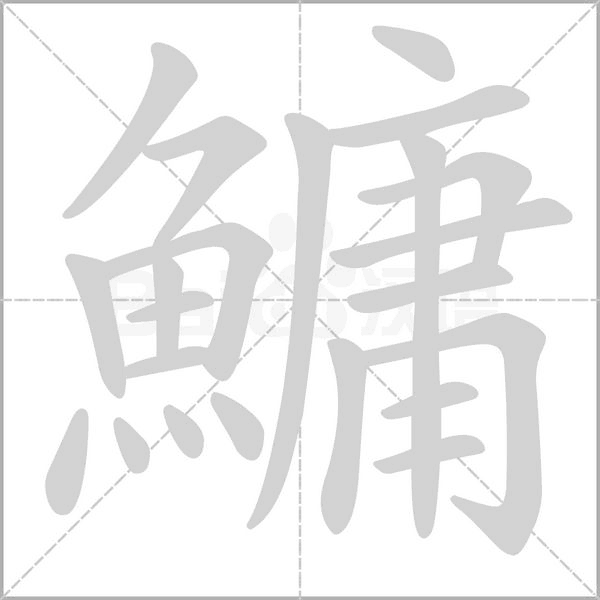 鱅字笔顺图