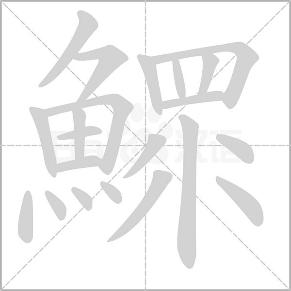 鰥字笔顺图