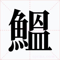鰮字字形