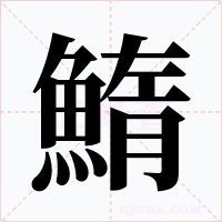 鰖字的字形和写法