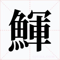 鯶字的字形和写法