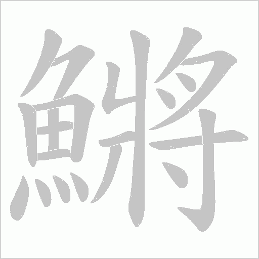 鱂字笔顺图