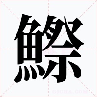 鰶字字形