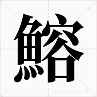 鰫字字形